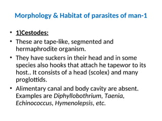 Morphology & Habitat of parasites of man-1
• 1)Cestodes:
• These are tape-like, segmented and
hermaphrodite organism.
• They have suckers in their head and in some
species also hooks that attach he tapewor to its
host.. It consists of a head (scolex) and many
proglottids.
• Alimentary canal and body cavity are absent.
Examples are Diphyllobothrium, Taenia,
Echinococcus, Hymenolepsis, etc.
 