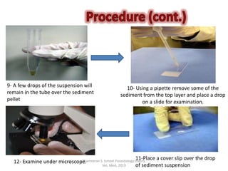 Shameeran S. Ismael Parasitology theory.
Vet. Med, 2019
9- A few drops of the suspension will
remain in the tube over the sediment
pellet
10- Using a pipette remove some of the
sediment from the top layer and place a drop
on a slide for examination.
11-Place a cover slip over the drop
of sediment suspension
12- Examine under microscope.
 