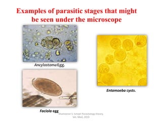 Shameeran S. Ismael Parasitology theory.
Vet. Med, 2019
Examples of parasitic stages that might
be seen under the microscope
Entamoeba cysts.
Faciola egg
 