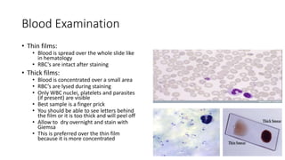 Blood Examination
• Thin films:
• Blood is spread over the whole slide like
in hematology
• RBC’s are intact after staining
• Thick films:
• Blood is concentrated over a small area
• RBC’s are lysed during staining
• Only WBC nuclei, platelets and parasites
(if present) are visible
• Best sample is a finger prick
• You should be able to see letters behind
the film or it is too thick and will peel off
• Allow to dry overnight and stain with
Giemsa
• This is preferred over the thin film
because it is more concentrated
 