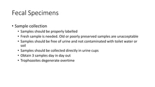 Fecal Specimens
• Sample collection
• Samples should be properly labelled
• Fresh sample is needed. Old or poorly preserved samples are unacceptable
• Samples should be free of urine and not contaminated with toilet water or
soil
• Samples should be collected directly in urine cups
• Obtain 3 samples day in day out
• Trophozoites degenerate overtime
 