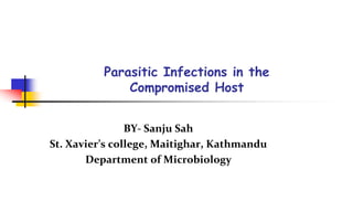 Parasitic Infections in the
Compromised Host
BY- Sanju Sah
St. Xavier’s college, Maitighar, Kathmandu
Department of Microbiology
 