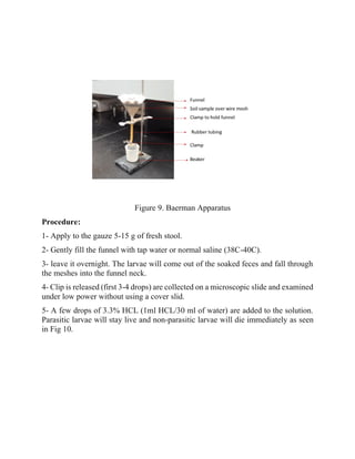 The Routine Parasitological Practice Methods | PDF