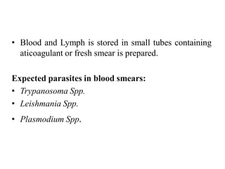 • Blood and Lymph is stored in small tubes containing
aticoagulant or fresh smear is prepared.
Expected parasites in blood smears:
• Trypanosoma Spp.
• Leishmania Spp.
• Plasmodium Spp.
 