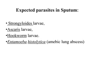 • Strongyloides larvae,
•Ascaris larvae,
•Hookworm larvae.
•Entamoeba histolytica (amebic lung abscess)
Expected parasites in Sputum:
 