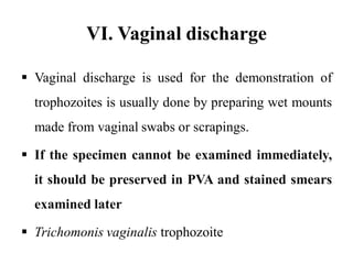 VI. Vaginal discharge
 Vaginal discharge is used for the demonstration of
trophozoites is usually done by preparing wet mounts
made from vaginal swabs or scrapings.
 If the specimen cannot be examined immediately,
it should be preserved in PVA and stained smears
examined later
 Trichomonis vaginalis trophozoite
 