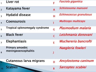 1
Liver rot F
Fasciola gigantica
2 Katayama fever A
Schistosoma mansoni
3
Hydatid disease H
Echinococcus granulosus
4
Coenourosis I
Multiceps multiceps
5
Tropical splenomegaly syndrome
G Plasmodium malaria
6
Black fever C Leishmania donovani
7
Elephantiasis E Wuchereria bancrofti
8
Primary amoebic
meningeoencephalitis
J
Naegleria fowleri
9 Cutaneous larva migrans D Ancylostoma caninum
10
Scabies B Sarcoptes scabiei
 