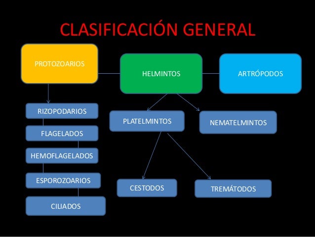 La medicina buena contra las lombrices para los perritos