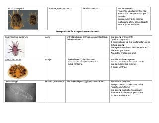 Artrópodos III: Ácaros productores de sarna
Ornithonyssussylviarum Aves Entre lasplumas,pechuga,cercade la cloaca,
debajode lasalas.
Gnatosomaprominente
Quelícerosquelados
3 placas:placa esternal (rectangular),cerca
del gnatosoma
Placa genital enformade V cerca del ano.
Placa anal piriforme
Anoanteriora la placa anal
Varroa destructor Abejas Todoel cuerpo,alas,abdomen
Crías: celdas,se mete dentrode la
Celdaconla cría.
Interfierenal tomarpolen
Gnatosomaarticuladoventralmente
Cuerpocubiertode espinas
7 placasventrales
Demodex spp Humano, mamíferos Piel,folículospilosos,glándulassebáceas Se divide el parasito:
1era porción=propodosoma,ultima
Parasitovermiforme
Gnatosomacuadrado muygrande
Patas se articulanenpropodosoma
Estrías transversales.
Otobiusmegnini Bovinos,equinosyperros Pabellónauricular No tiene escudo
Pequeñoestrechamientoenla
terceraposiciónque le daaspecto
de violín
Cuerpocubiertode espinas
Gnatosomaarticuladoenla parte
ventral (noesevidente)
 