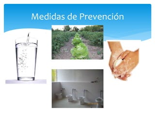 Medidas de Prevención
 