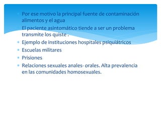 Por ese motivo la principal fuente de contaminación
alimentos y el agua
 El paciente asintomático tiende a ser un problema
transmite los quiste .
 Ejemplo de instituciones hospitales psiquiátricos
 Escuelas militares
 Prisiones
 Relaciones sexuales anales- orales. Alta prevalencia
en las comunidades homosexuales.
 