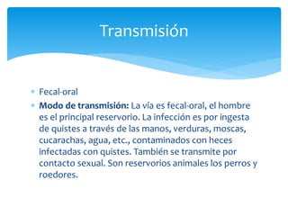  Fecal-oral
 Modo de transmisión: La vía es fecal-oral, el hombre
es el principal reservorio. La infección es por ingesta
de quistes a través de las manos, verduras, moscas,
cucarachas, agua, etc., contaminados con heces
infectadas con quistes. También se transmite por
contacto sexual. Son reservorios animales los perros y
roedores.
Transmisión
 