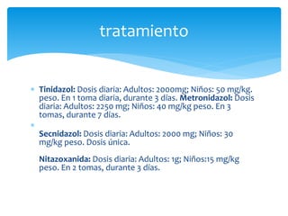  Tinidazol: Dosis diaria: Adultos: 2000mg; Niños: 50 mg/kg.
peso. En 1 toma diaria, durante 3 días. Metronidazol: Dosis
diaria: Adultos: 2250 mg; Niños: 40 mg/kg peso. En 3
tomas, durante 7 días.

Secnidazol: Dosis diaria: Adultos: 2000 mg; Niños: 30
mg/kg peso. Dosis única.
Nitazoxanida: Dosis diaria: Adultos: 1g; Niños:15 mg/kg
peso. En 2 tomas, durante 3 días.
tratamiento
 
