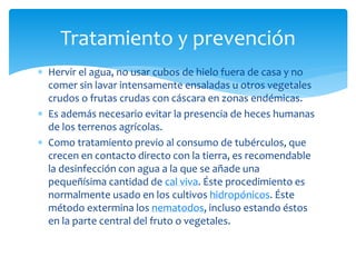  Hervir el agua, no usar cubos de hielo fuera de casa y no
comer sin lavar intensamente ensaladas u otros vegetales
crudos o frutas crudas con cáscara en zonas endémicas.
 Es además necesario evitar la presencia de heces humanas
de los terrenos agrícolas.
 Como tratamiento previo al consumo de tubérculos, que
crecen en contacto directo con la tierra, es recomendable
la desinfección con agua a la que se añade una
pequeñísima cantidad de cal viva. Éste procedimiento es
normalmente usado en los cultivos hidropónicos. Éste
método extermina los nematodos, incluso estando éstos
en la parte central del fruto o vegetales.
Tratamiento y prevención
 
