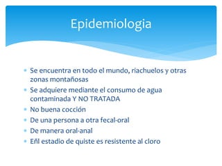  Se encuentra en todo el mundo, riachuelos y otras
zonas montañosas
 Se adquiere mediante el consumo de agua
contaminada Y NO TRATADA
 No buena cocción
 De una persona a otra fecal-oral
 De manera oral-anal
 Eñl estadio de quiste es resistente al cloro
Epidemiologia
 