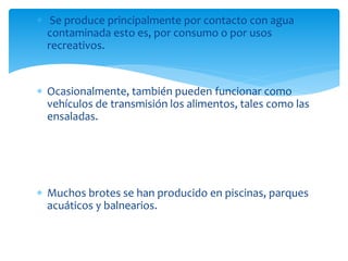  Se produce principalmente por contacto con agua
contaminada esto es, por consumo o por usos
recreativos.
 Ocasionalmente, también pueden funcionar como
vehículos de transmisión los alimentos, tales como las
ensaladas.
 Muchos brotes se han producido en piscinas, parques
acuáticos y balnearios.
 