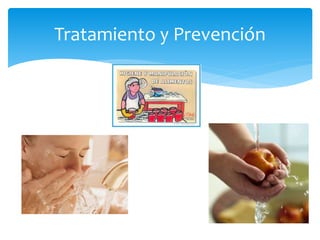 Tratamiento y Prevención
 