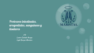 Protozoos intestinales,
urogenitales, sanguíneos y
tisulares
4°C
Lucero Cañedo Amaya
Leydi Burgos Montero
 
