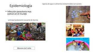 Epidemiología
• Infección parasitaria mas
común en el mundo
ingesta de agua o alimentos contaminados con quistes
principal protozoario causante de diarrea
Menores de 5 años
 