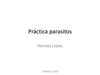 Práctica parasitos
Hermes Llatas
HERMES LLATAS
 