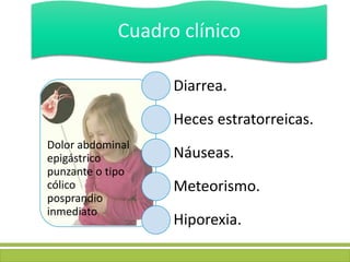 Dolor abdominal
epigástrico
punzante o tipo
cólico
posprandio
inmediato
Diarrea.
Heces estratorreicas.
Náuseas.
Meteorismo.
Hiporexia.
Cuadro clínico
 