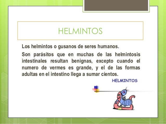 Si como conocer hay unas lombrices en el intestino
