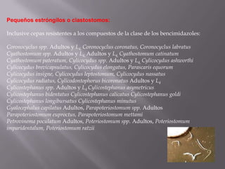 Pequeños estróngilos o ciastostomos:

Inclusive cepas resistentes a los compuestos de la clase de los bencimidazoles:

Coronocyclus spp. Adultos y L4, Coronocyclus coronatus, Coronocyclus labratus
Cyathostomum spp. Adultos y L4, Adultos y L4, Cyathostomum catinatum
Cyathostomum pateratum, Cylicocydus spp. Adultos y L4, Cylicocydus ashworthi
Cylicocydus brevicapsulatus, Cylicocydus elongatus, Parascaris equorum
Cylicocydus insigne, Cylicocydus leptostomum, Cylicocydus nassatus
Cylicocydus radiatus, Cylicodontophorus bicoronatus Adultos y L4
Cylicostephanus spp. Adultos y L4 Cylicostephanus asymetricus
Cylicostephanus bidentatus Cylicostephanus calicatus Cylicostephanus goldi
Cylicostephanus longibursatus Cylicostephanus minutus
Gyalocephalus capilatus Adultos, Parapoteriostomum spp. Adultos
Parapoteriostomum euproctus, Parapoteriostomum mettami
Petrovinema poculatum Adultos, Poteriostomum spp. Adultos, Poteriostomum
imparidentalum, Poteriostomum ratzii
 