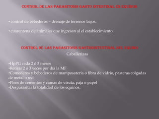 CONTROL DE LAS PARASITOSIS GASTO INTESTINAL EN EQUINOS


• control de bebederos – drenaje de terrenos bajos.

• cuarentena de animales que ingresan al el establecimiento.



       CONTROL DE LAS PARASITOSIS GASTROINTESTINAL DEL EQUINO
                                 Caballerizas

•HpPG cada 2 ó 3 meses
•Retirar 2 ó 3 veces por día la MF
•Comederos y bebederos de mamposateria o fibra de vidrio, pasteras colgadas
de metal o red
•Pisos de cementos y camas de viruta, paja o papel
•Desparasitar la totalidad de los equinos.
 