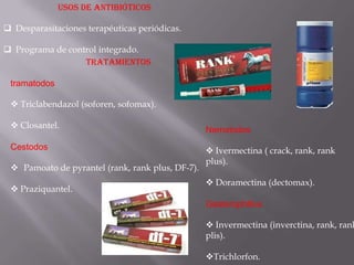 USOS DE ANTIBIÓTICOS

 Desparasitaciones terapéuticas periódicas.

 Programa de control integrado.
                  TRATAMIENTOS

 tramatodos

  Triclabendazol (soforen, sofomax).

  Closantel.
                                                  Nematodos
 Cestodos                                          Ivermectina ( crack, rank, rank
                                                  plus).
  Pamoato de pyrantel (rank, rank plus, DF-7).
                                                   Doramectina (dectomax).
  Praziquantel.
                                                  Gasterophillus

                                                   Invermectina (inverctina, rank, rank
                                                  plis).

                                                  Trichlorfon.
 