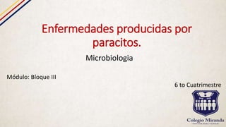 Enfermedades producidas por
paracitos.
Microbiologia
Módulo: Bloque III
6 to Cuatrimestre
 