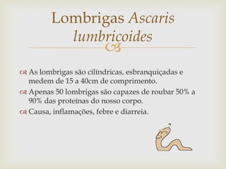 Lombrigas Ascaris
          lumbricoides
                       
 As lombrigas são cilíndricas, esbranquiçadas e
  medem de 15 a 40cm de comprimento.
 Apenas 50 lombrigas são capazes de roubar 50% a
  90% das proteínas do nosso corpo.
 Causa, inflamações, febre e diarreia.
 