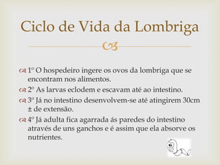 Ciclo de Vida da Lombriga
                        
 1º O hospedeiro ingere os ovos da lombriga que se
  encontram nos alimentos.
 2º As larvas eclodem e escavam até ao intestino.
 3º Já no intestino desenvolvem-se até atingirem 30cm
  ± de extensão.
 4º Já adulta fica agarrada ás paredes do intestino
  através de uns ganchos e é assim que ela absorve os
  nutrientes.
 