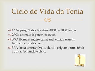 Ciclo de Vida da Ténia
            
 1ª As proglótides libertam 80000 a 10000 ovos.
 2º Os animais ingerem os ovos.
 3º O Homem ingere carne mal cozida e assim
  também os cisticercos.
 3º A larva desenvolve-se dando origem a uma ténia
  adulta, fechando o ciclo.
 