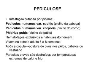 PEDICULOSE
• Infestação cutânea por piolhos:
Pediculus humanus var. capitis (piolho da cabeça)
Pediculus humanus var. corporis (piolho do corpo)
Phitirius pubis (piolho do púbis)
Hematófagos exclusivos e habituais do homem
Vivem no estado adulto 6 a 8 semanas
Após a cópula→postura de ovos nos pêlos, cabelos ou
vestuário
Parasitas e ovos são destruídos por temperaturas
extremas de calor e frio.
 