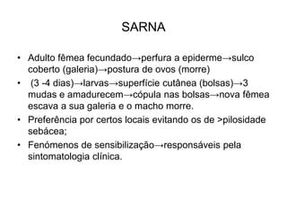 SARNA
• Adulto fêmea fecundado→perfura a epiderme→sulco
coberto (galeria)→postura de ovos (morre)
• (3 -4 dias)→larvas→superfície cutânea (bolsas)→3
mudas e amadurecem→cópula nas bolsas→nova fêmea
escava a sua galeria e o macho morre.
• Preferência por certos locais evitando os de >pilosidade
sebácea;
• Fenómenos de sensibilização→responsáveis pela
sintomatologia clínica.
 