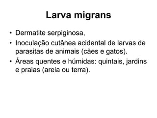 Larva migrans
• Dermatite serpiginosa,
• Inoculação cutânea acidental de larvas de
parasitas de animais (cães e gatos).
• Áreas quentes e húmidas: quintais, jardins
e praias (areia ou terra).
 