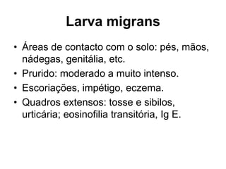 Larva migrans
• Áreas de contacto com o solo: pés, mãos,
nádegas, genitália, etc.
• Prurido: moderado a muito intenso.
• Escoriações, impétigo, eczema.
• Quadros extensos: tosse e sibilos,
urticária; eosinofilia transitória, Ig E.
 