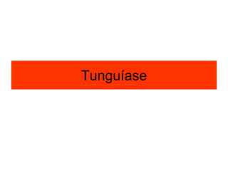 Tunguíase
 