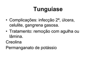 Tunguíase
• Complicações: infecção 2ª, úlcera,
celulite, gangrena gasosa.
• Tratamento: remoção com agulha ou
lâmina.
Creolina
Permanganato de potássio
 