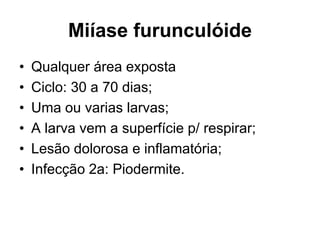 Miíase furunculóide
• Qualquer área exposta
• Ciclo: 30 a 70 dias;
• Uma ou varias larvas;
• A larva vem a superfície p/ respirar;
• Lesão dolorosa e inflamatória;
• Infecção 2a: Piodermite.
 