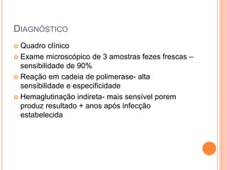DIAGNÓSTICO
 Quadro clínico
 Exame microscópico de 3 amostras fezes frescas –
sensibilidade de 90%
 Reação em cadeia de polimerase- alta
sensibilidade e especificidade
 Hemaglutinação indireta- mais sensível porem
produz resultado + anos após infecção
estabelecida
 