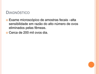 DIAGNÓSTICO
 Exame microscópico de amostras fecais –alta
sensibilidade em razão do alto número de ovos
eliminados pelas fêmeas.
 Cerca de 200 mil ovos dia.
 