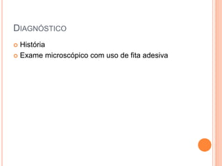 DIAGNÓSTICO
 História
 Exame microscópico com uso de fita adesiva
 