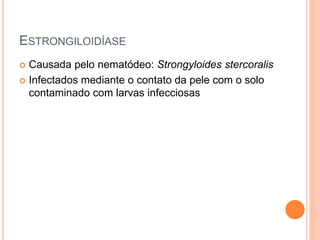 ESTRONGILOIDÍASE
 Causada pelo nematódeo: Strongyloides stercoralis
 Infectados mediante o contato da pele com o solo
contaminado com larvas infecciosas
 