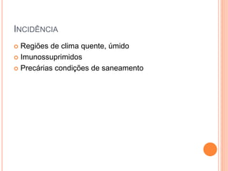 INCIDÊNCIA
 Regiões de clima quente, úmido
 Imunossuprimidos
 Precárias condições de saneamento
 