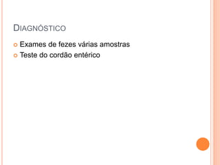 DIAGNÓSTICO
 Exames de fezes várias amostras
 Teste do cordão entérico
 