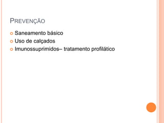 PREVENÇÃO
 Saneamento básico
 Uso de calçados
 Imunossuprimidos– tratamento profilático
 