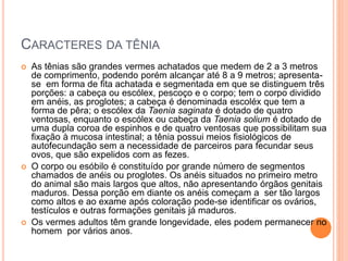 CARACTERES DA TÊNIA
 As tênias são grandes vermes achatados que medem de 2 a 3 metros
de comprimento, podendo porém alcançar até 8 a 9 metros; apresenta-
se em forma de fita achatada e segmentada em que se distinguem três
porções: a cabeça ou escólex, pescoço e o corpo; tem o corpo dividido
em anéis, as proglotes; a cabeça é denominada escoléx que tem a
forma de pêra; o escólex da Taenia saginata é dotado de quatro
ventosas, enquanto o escólex ou cabeça da Taenia solium é dotado de
uma dupla coroa de espinhos e de quatro ventosas que possibilitam sua
fixação à mucosa intestinal; a tênia possui meios fisiológicos de
autofecundação sem a necessidade de parceiros para fecundar seus
ovos, que são expelidos com as fezes.
 O corpo ou esóbilo é constituído por grande número de segmentos
chamados de anéis ou proglotes. Os anéis situados no primeiro metro
do animal são mais largos que altos, não apresentando órgãos genitais
maduros. Dessa porção em diante os anéis começam a ser tão largos
como altos e ao exame após coloração pode-se identificar os ovários,
testículos e outras formações genitais já maduros.
 Os vermes adultos têm grande longevidade, eles podem permanecer no
homem por vários anos.
 