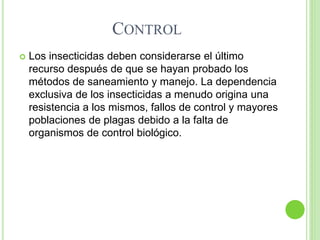CONTROL
 Los insecticidas deben considerarse el último
recurso después de que se hayan probado los
métodos de saneamiento y manejo. La dependencia
exclusiva de los insecticidas a menudo origina una
resistencia a los mismos, fallos de control y mayores
poblaciones de plagas debido a la falta de
organismos de control biológico.
 