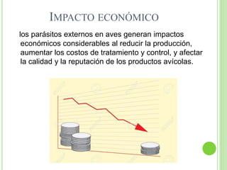 IMPACTO ECONÓMICO
los parásitos externos en aves generan impactos
económicos considerables al reducir la producción,
aumentar los costos de tratamiento y control, y afectar
la calidad y la reputación de los productos avícolas.
 